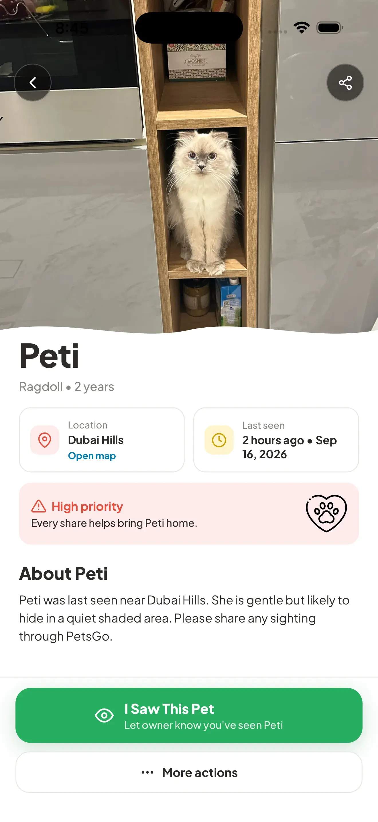 PetsGo lost pet alert screen for Peti showing Dubai Hills, last-seen details, and an I Saw This Pet button.