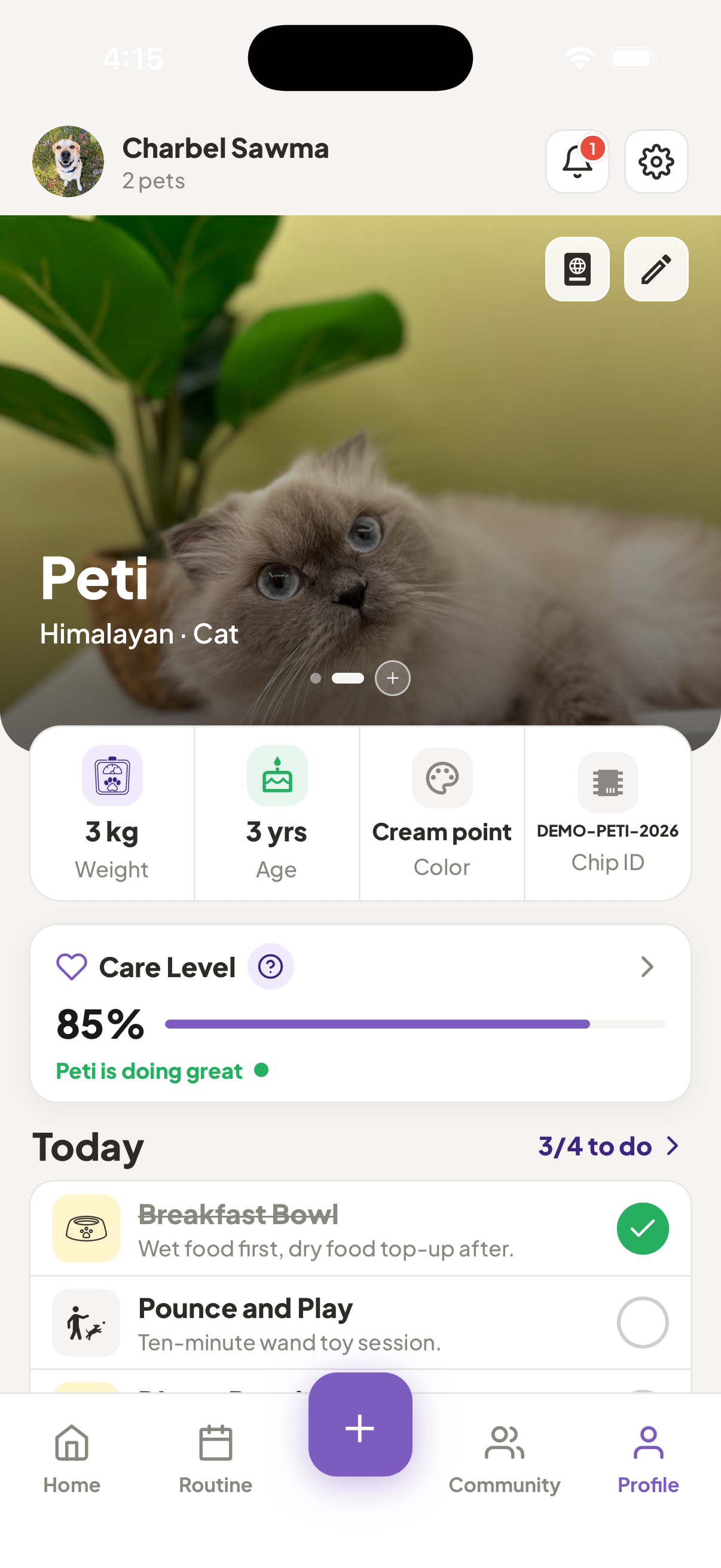 PetsGo profile screen for Charbel Sawma showing Peti the Himalayan cat, weight, age, care level, and routine.